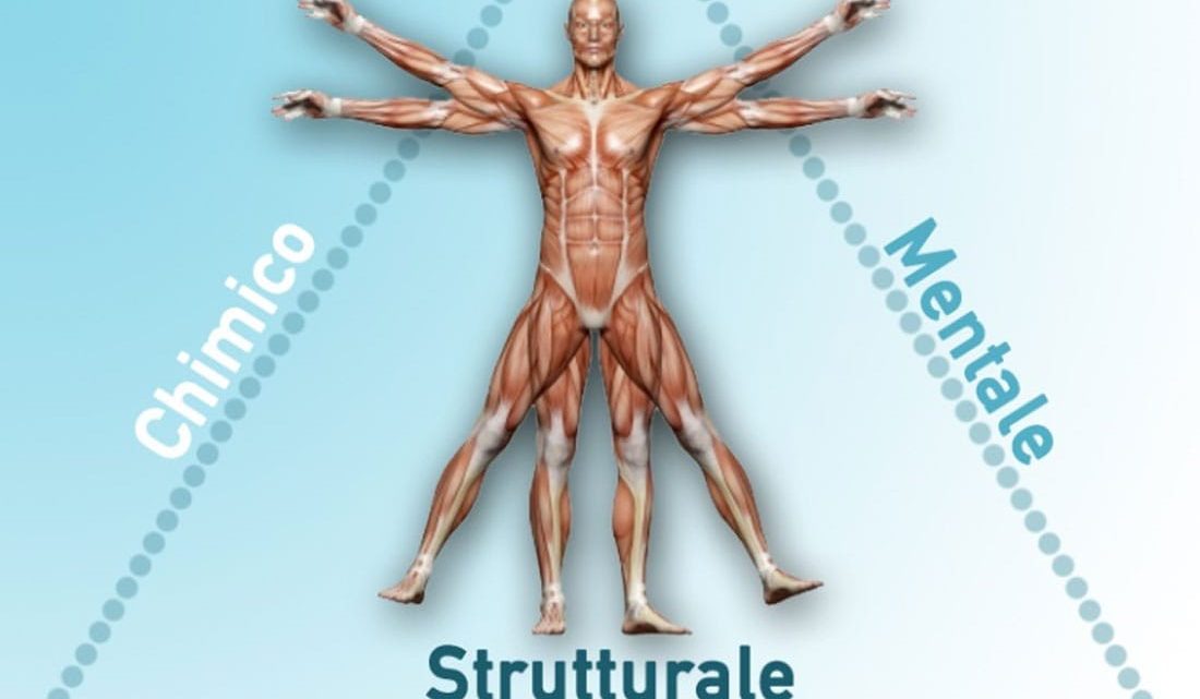 Kinesiologia - DENTALMED STUDIO DENTISTICO DR. BEGHINI ANGELO CASSANO D'ADDA